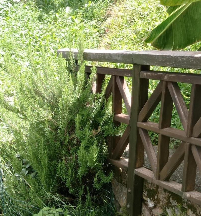 Chalet Du Soleil Odecla Ngoại thất bức ảnh